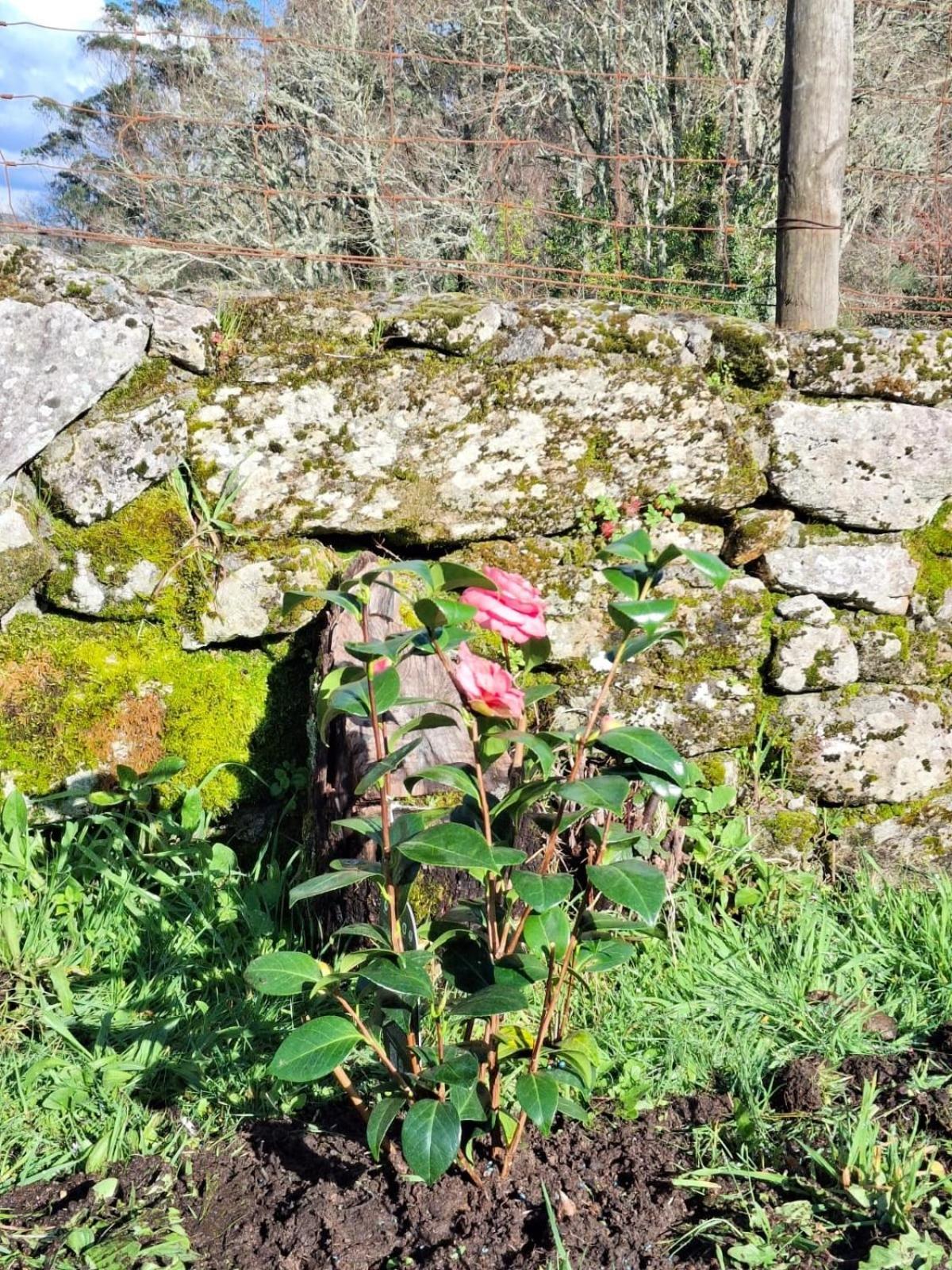 Casa De Piedra En Naturaleza Ideal Relajarse, Aventura O Trabajar Casa de vacances Pontevedra